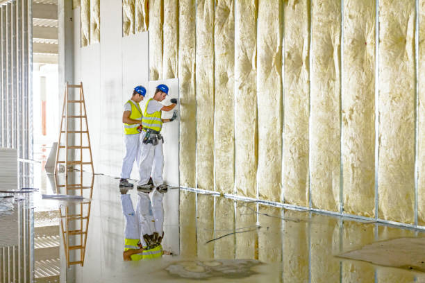 Trusted Du Quoin, IL Insulation Contractor Experts